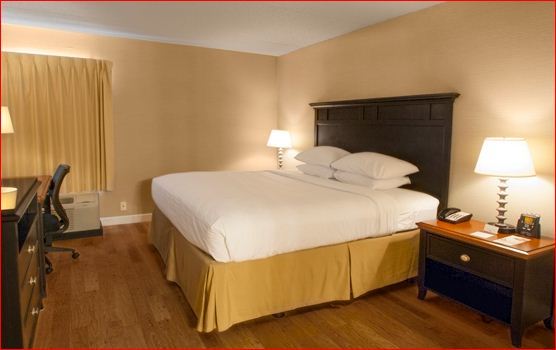 Hotel Doubletree By Hilton Buffalo-amherst